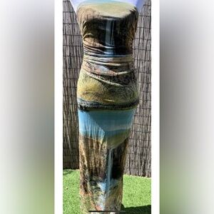 NWT Zara 90s Style Mesh Photo Print Landscape Mountain Floral Tube Top Dress S